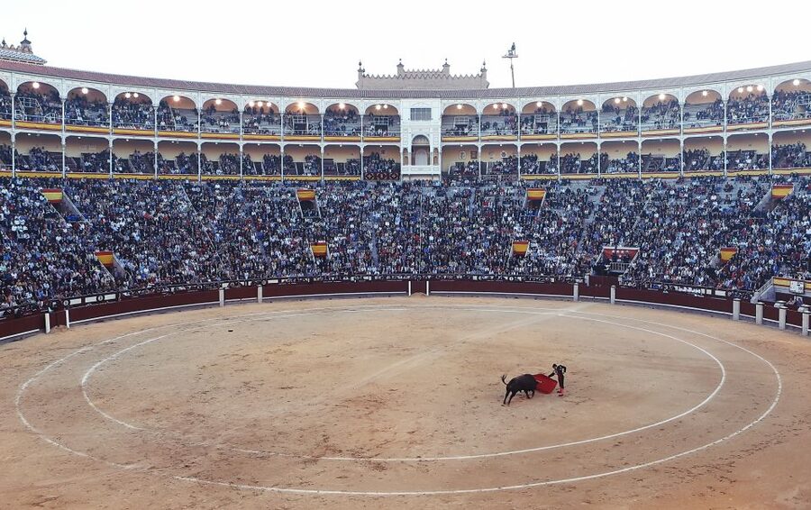 Madrid: Private Customized Walking Tour with a Local Host - Walking, taxis, and public transport