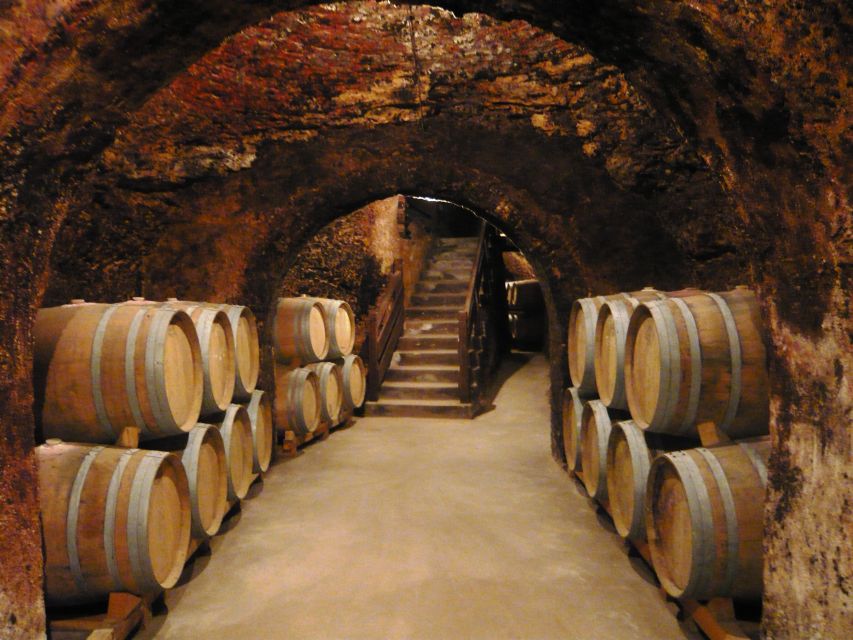 Madrid Region Wineries Guided Tour with Wine Tastings - Key points to know before you book