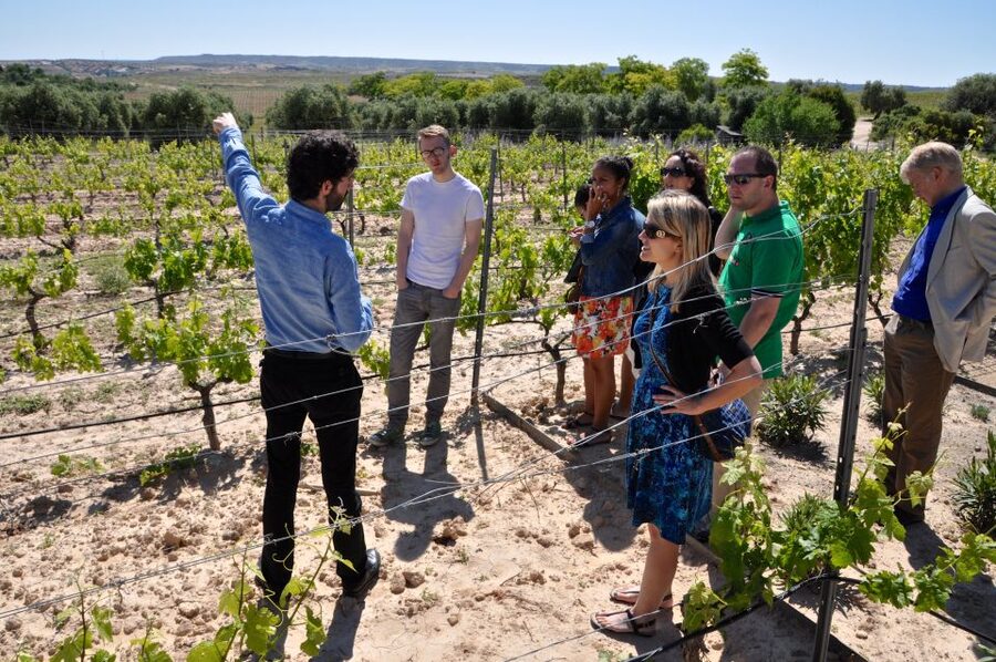 Madrid Region Wineries Guided Tour with Wine Tastings - Chinchón: wine beside a famous old town