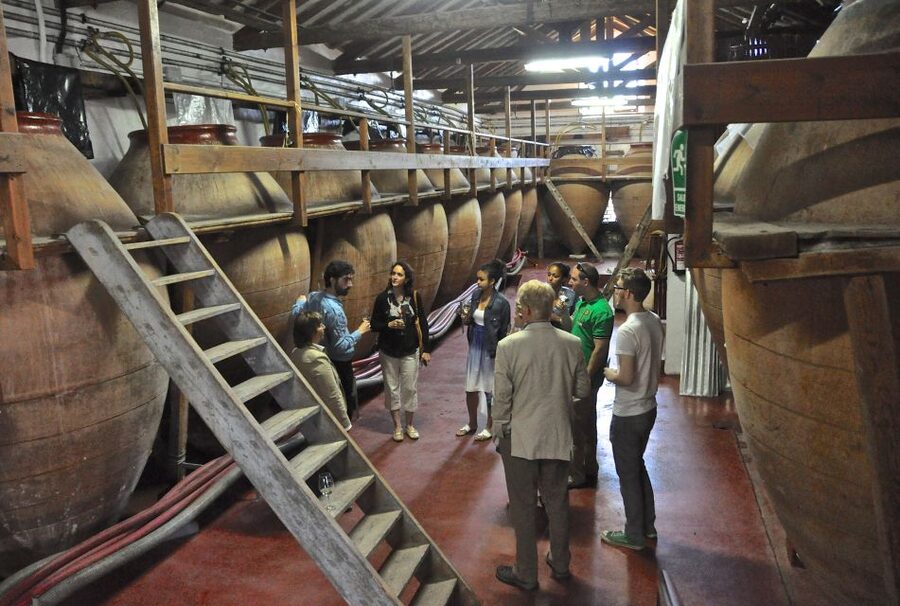 Madrid Region Wineries Guided Tour with Wine Tastings - Ancient caves and clay vessels