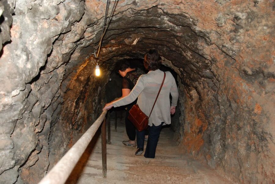 Madrid Region Wineries Guided Tour with Wine Tastings - Who will enjoy this tour most