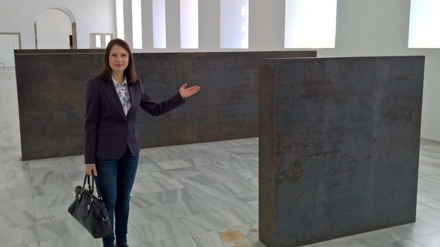 Madrid Reina Sofia Museum & Picasso's Guernica Private Tour - Starting in a former Madrid hospital