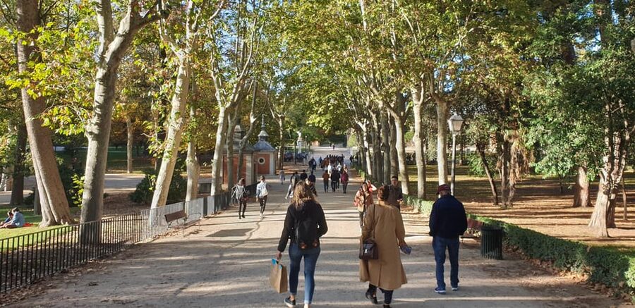 Madrid: Retiro Park Guided Tour with a Photographer - A Relaxed Café Break