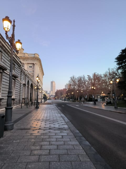 Madrid: Royal Palace & Prado Museum Private Tour - Pace, accessibility, and practical planning