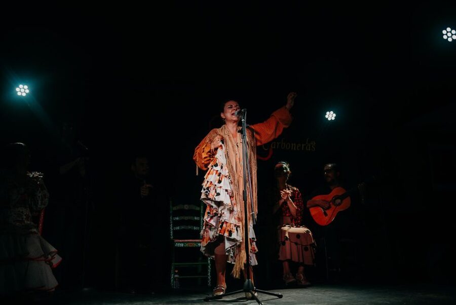Madrid: Tapas Tour & Authentic Flamenco Experience - Who should book this evening