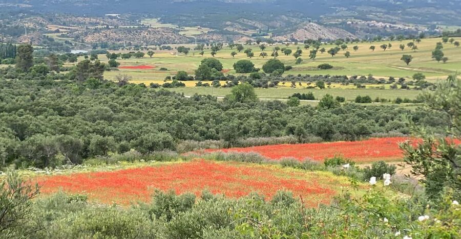 Madrid: Unspoiled Spain for Foodies & Nature ❤️’s - Escape tunnels and a closer look at the Alcazaba