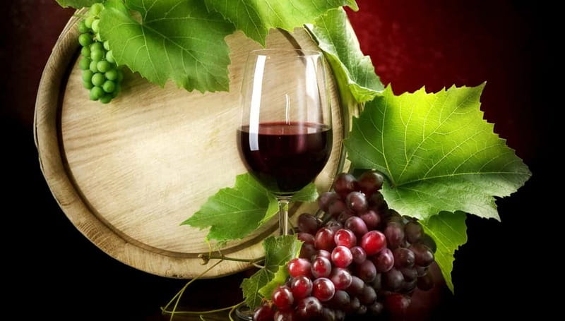 Madrid Wine Tasting, Flamenco Class and Pub Crawl - What the $84 price really covers