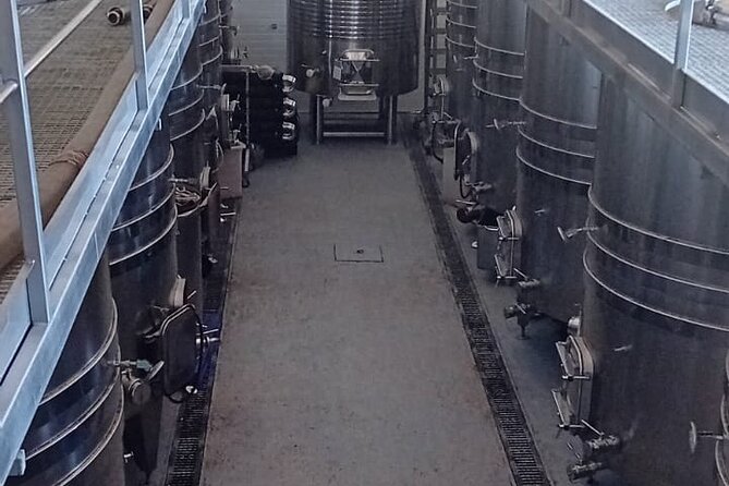 Madrid Wine Tour: Visit Two Wineries with Tastings - Winery two near Chinchón