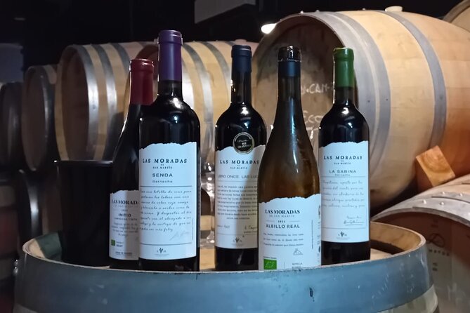Madrid Wine Tour: Visit Two Wineries with Tastings - What the tasting format is really like