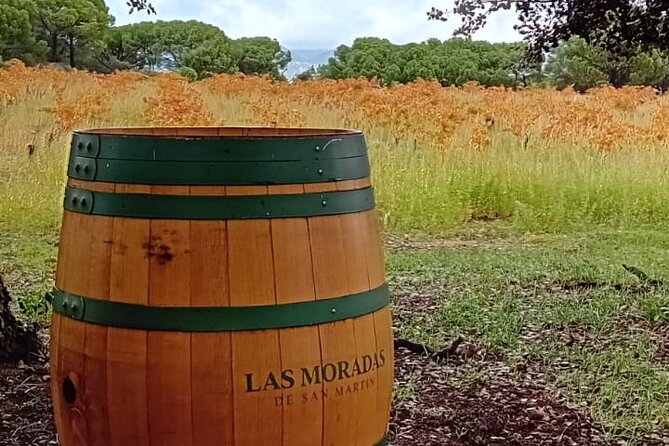 Madrid Wine Tour: Visit Two Wineries with Tastings - The return to Madrid and the five to six-hour schedule