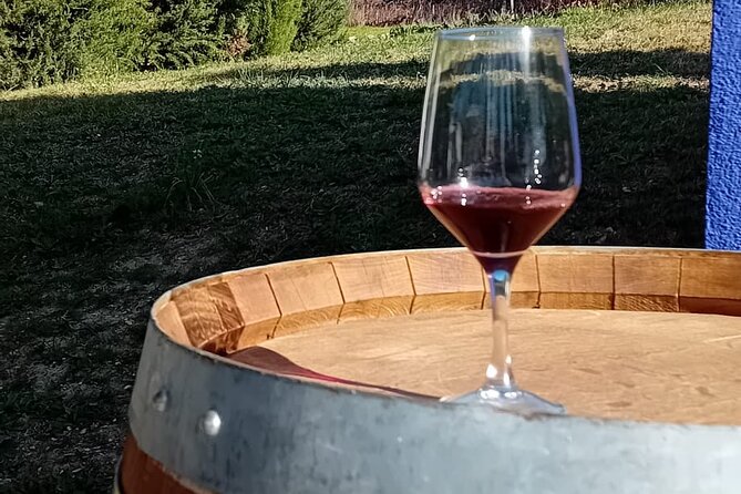 Madrid Winery Tour with Tasting and Sommelier Guide - Inside the Winery at San Martín de Valdeiglesias