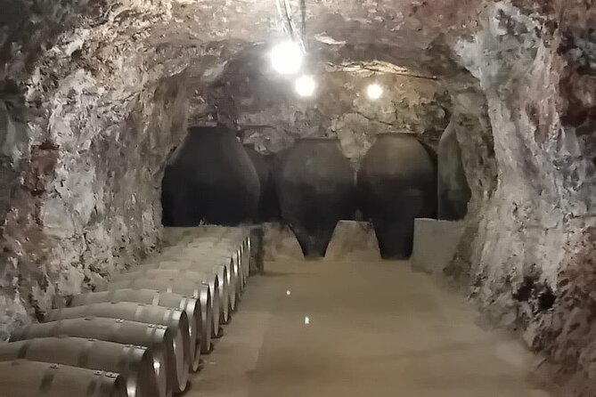 Madrid Winery Tour with Tasting and Sommelier Guide - Is $130.18 a Fair Price?