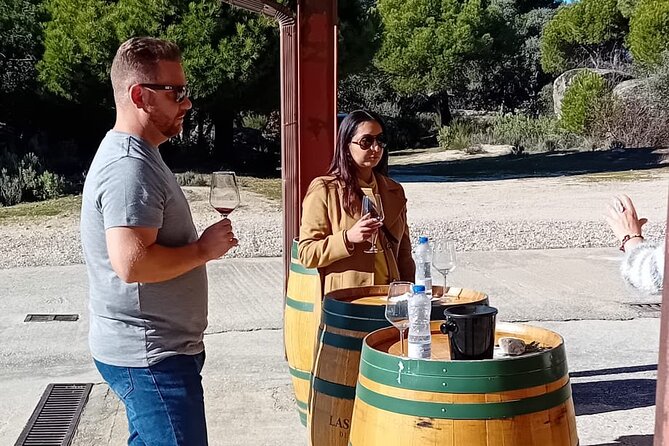 Madrid Winery Tour with Tasting and Sommelier Guide - Timing, Group Size, and Practical Fit
