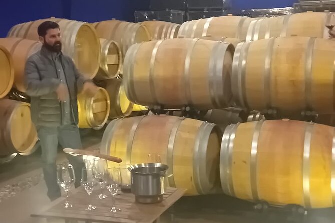Madrid Winery Tour with Tasting and Sommelier Guide - Who Will Enjoy This Wine Outing Most?