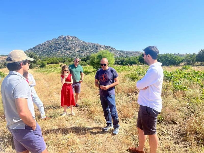 Madrid Winery Tour with Tasting & Sommelier Guide - Seasonal and scheduling notes