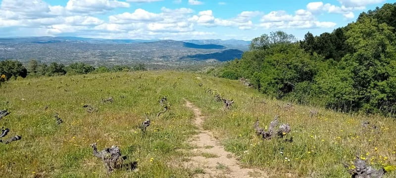 Madrid Winery Tour with Tasting & Sommelier Guide - Two hours inside a boutique winery