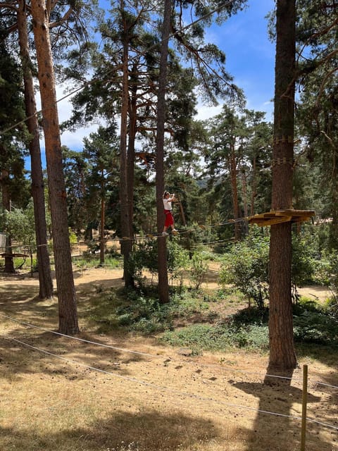 Madrid: Zip line circuits high in the trees - What the forest setting adds