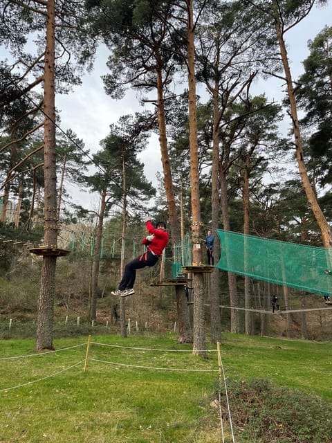 Madrid: Zip line circuits high in the trees - Three hours of tree-top challenges