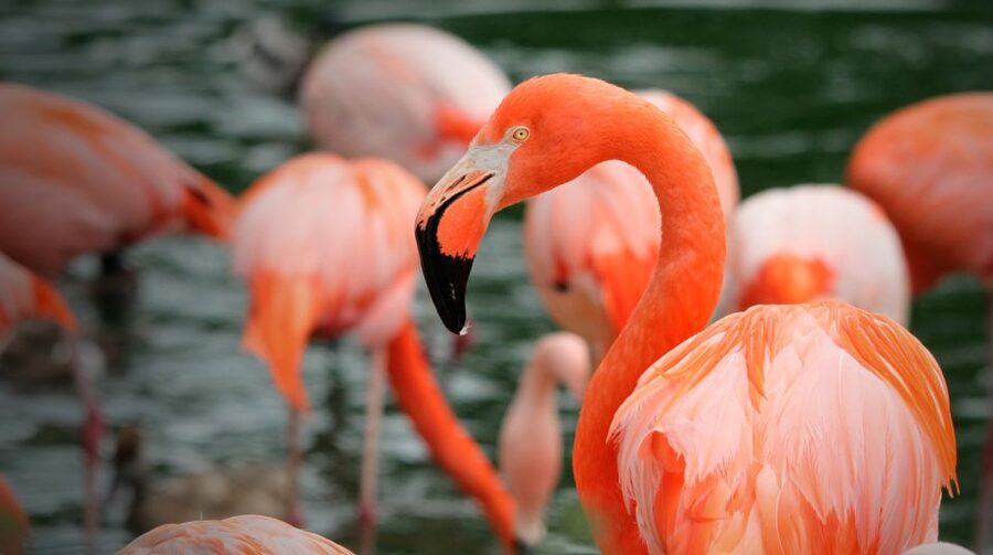 Madrid: Zoo Aquarium Madrid Ticket - Is $28 good value?