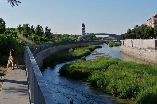 Manzanares River’s Story: A Self-Guided Audio Tour in Madrid - The Manzanares River’s older stories
