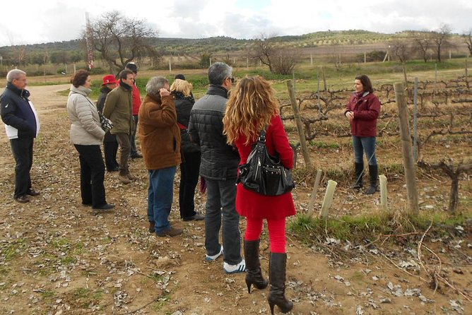 Medieval Castles, Wineries Experience with Tasting from Madrid - Lunch at a Local Restaurant, Not Included
