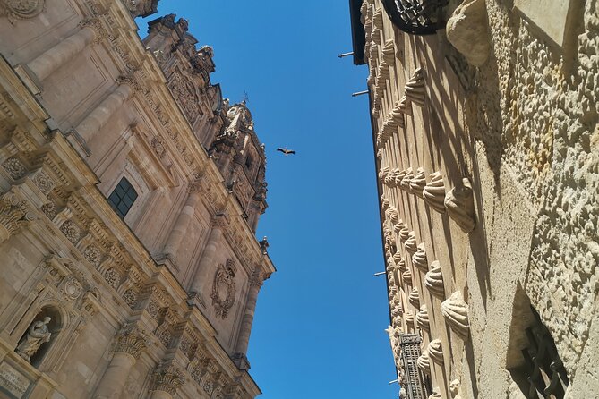 Must see Salamanca Walking Tour (could be billingual) - The carved shell facade of Casa de las Conchas