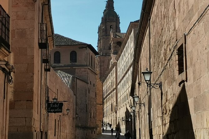Must see Salamanca Walking Tour (could be billingual) - Finishing at the University of Salamanca