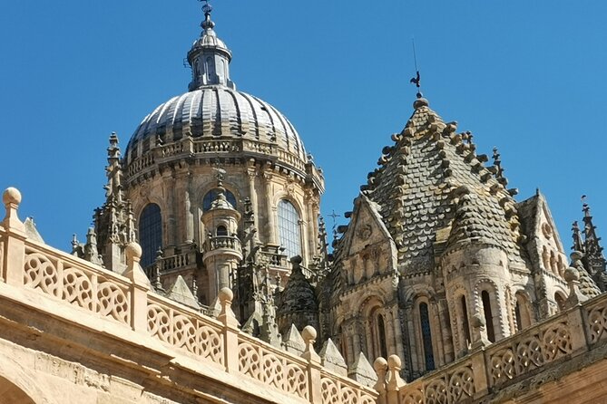 Must see Salamanca Walking Tour (could be billingual) - What the guide adds to the experience