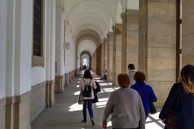 Prado Museum with Reina Sofia Museum Guided Tour - Reina Sofía and the road to Guernica