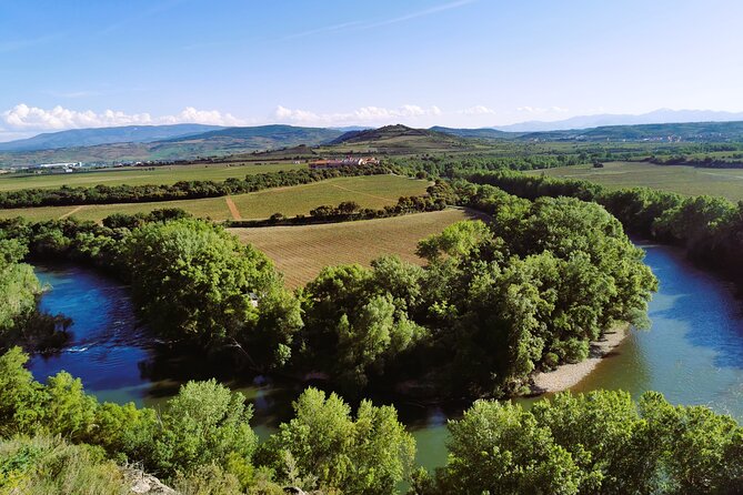 Premium Tour to Ribera del Duero with Wnologist Guide - Key points to know before booking
