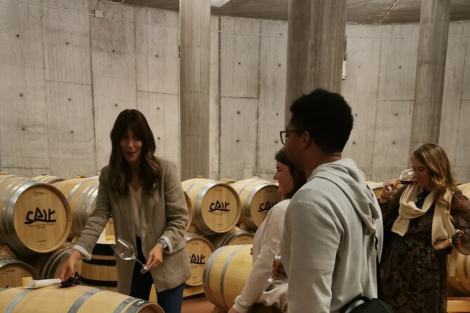 Premium Tour to Ribera del Duero with Wnologist Guide - Why Ribera del Duero makes a worthwhile day trip