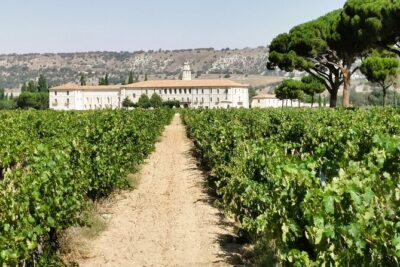 Premium Tour to Ribera del Duero with Wnologist Guide