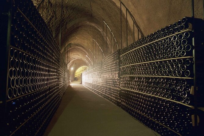 Premium Tour to Ribera del Duero with Wnologist Guide - Enrique’s role makes the difference