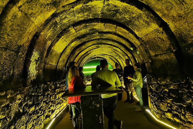 Premium Tour to Ribera del Duero with Wnologist Guide - What the $480.56 price includes in practical terms