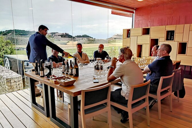 Premium Tour to Ribera del Duero with Wnologist Guide - Who should book this Ribera del Duero tour