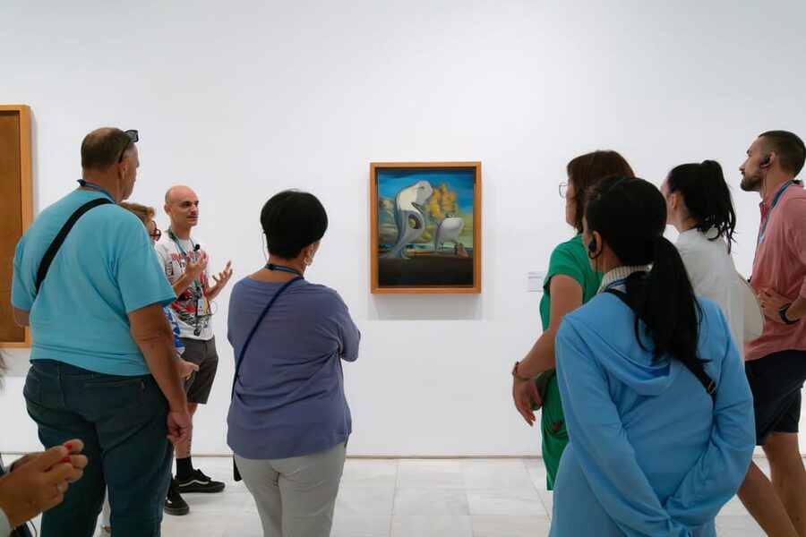 Private Guided tour Afternoon Art Delight at Reina Sofía - Getting through Reina Sofía without the long wait