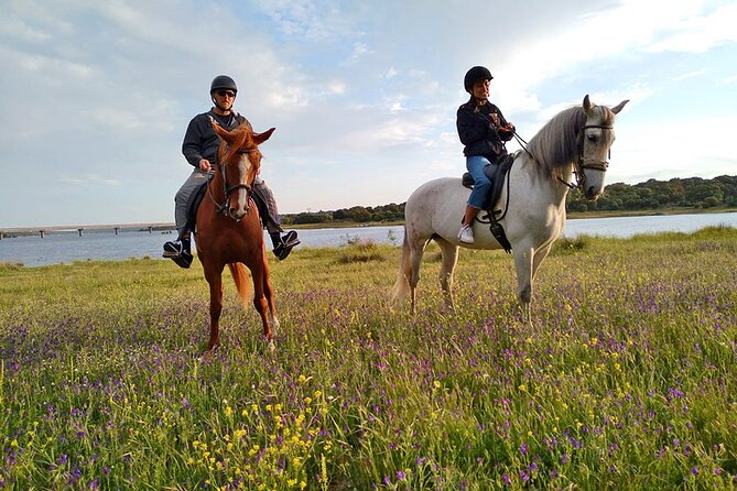 Private Horse Ride in Madrid natural park reserve - From Madrid to Los Molinos in 45 minutes
