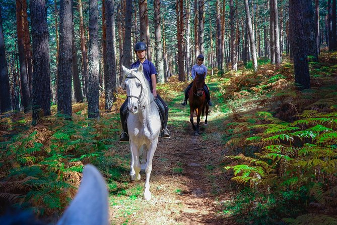Private Horse Ride in Madrid natural park reserve - Pine forests, open fields, and mountain trails