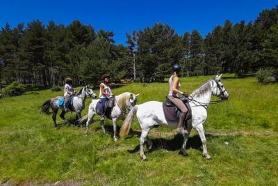 Private Horse Ride in Madrid natural park reserve