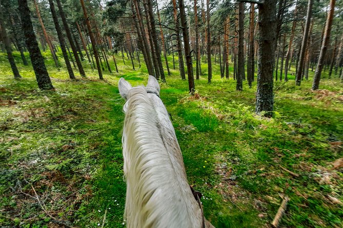 Private Horse Ride in Madrid natural park reserve - A private ride instead of a nose-to-tail line