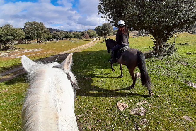 Private Horse Ride in Madrid natural park reserve - A useful choice for beginners, with a question for experienced riders