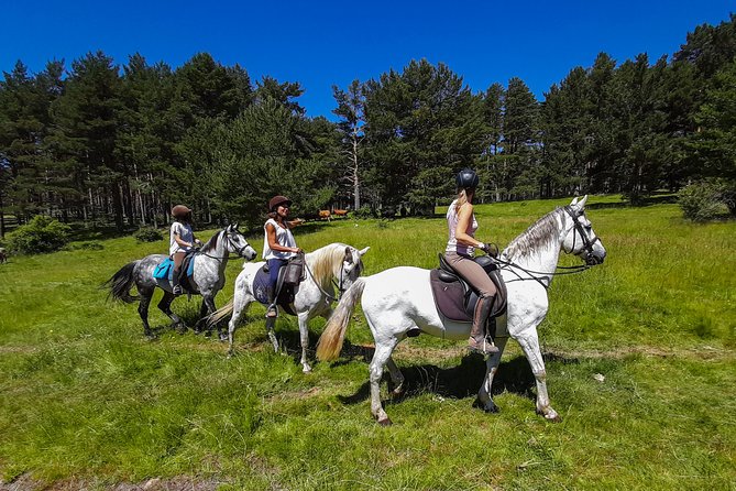 Private Horse Ride in Madrid natural park reserve - Meeting the horses and matching your route