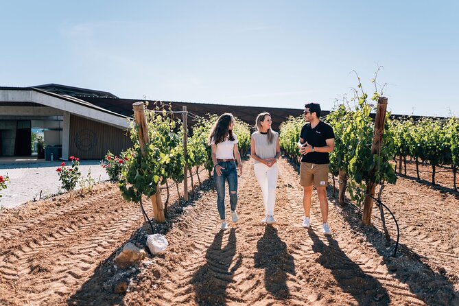 Private Segovia & Ribera del Duero with Wine Tasting from Madrid - Arriving in Segovia for a five-hour visit