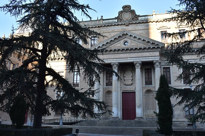 Private Tour in Salamanca Universitaria - Anaya Palace and the old School of San Bartolomé