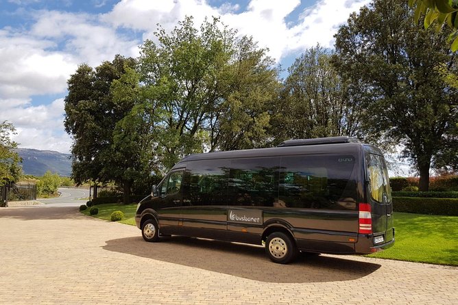 Private Transfer Madrid Barajas Airport to Madrid in Vans up to 7 Passengers - Driver communication can make or break the ride