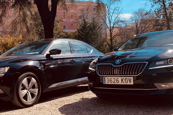 Private Transportation from Madrid Airport to City Center - What the vehicle and driver service include