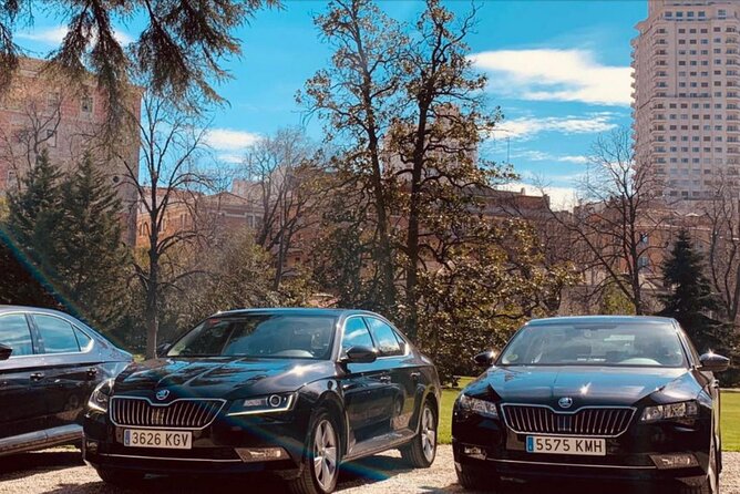 Private Transportation from Madrid Airport to City Center - The main risk: a missed or confusing pickup