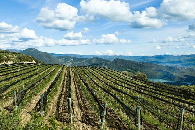 Private Wine Tasting And Visit Tour in Ribera Duero - Key points to know before booking