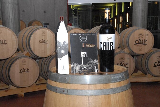 Private Wine Tasting And Visit Tour in Ribera Duero - Why Ribera del Duero makes a worthwhile day trip