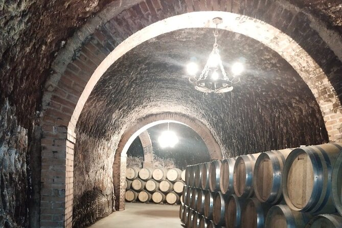 Private Wine Tasting And Visit Tour in Ribera Duero - The second winery: a useful contrast